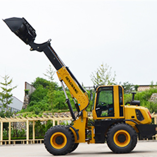 HW3000 Telescopic Loader